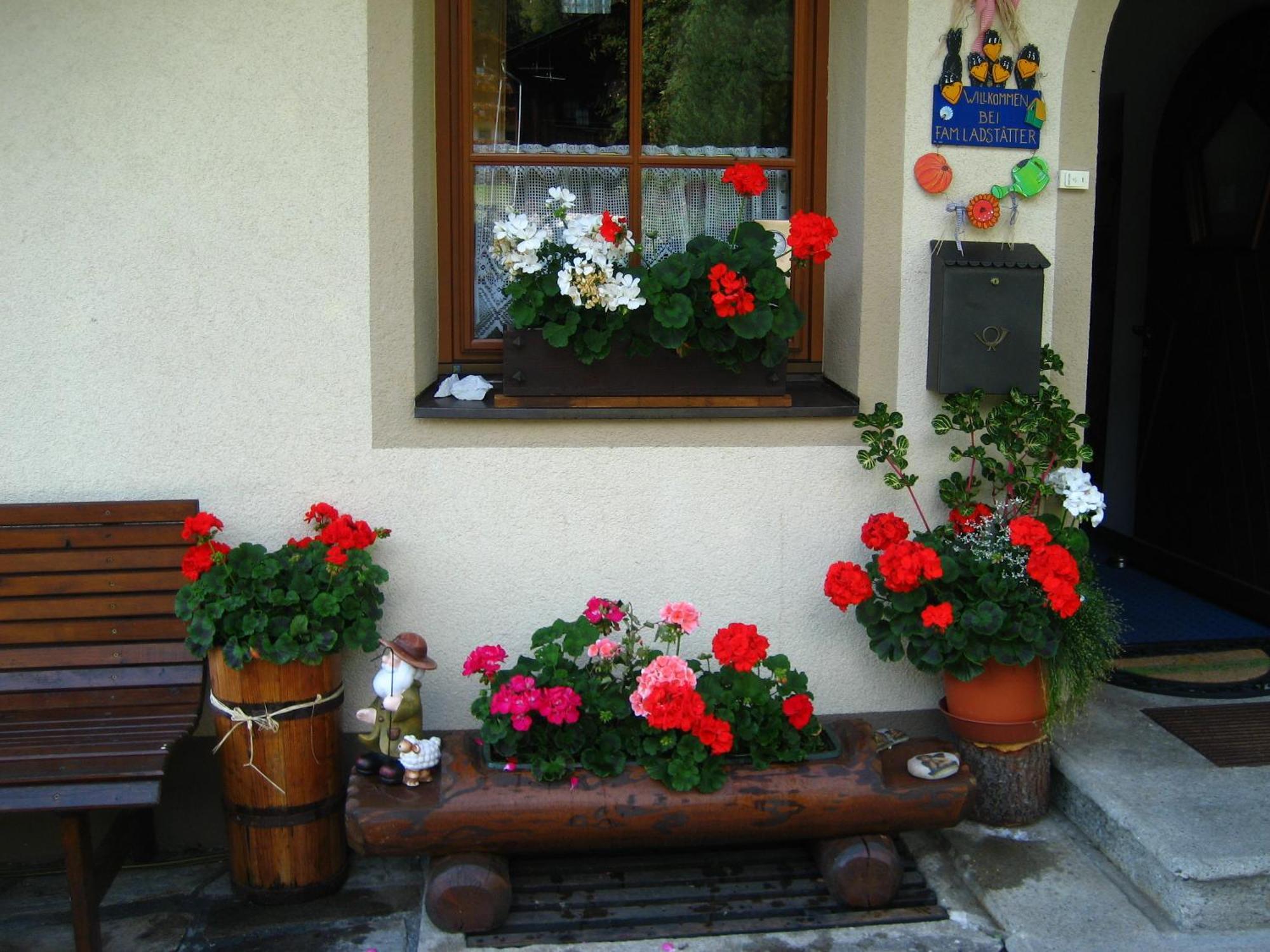 Apartamento Haus Arnika Sankt Jakob in Defereggen Exterior foto